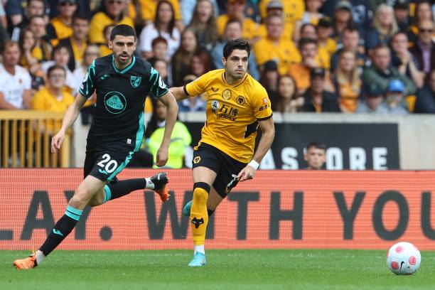 以其独特的 以其独特的